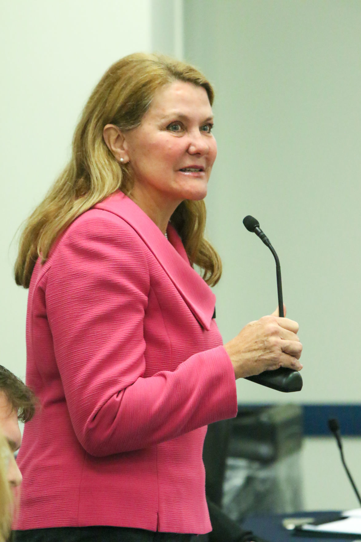 Lake-Porter County Young Democrats congressional debate